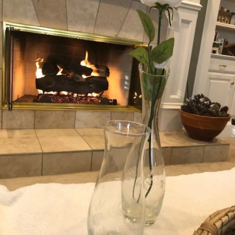 ‎Set 2 etched glass vases